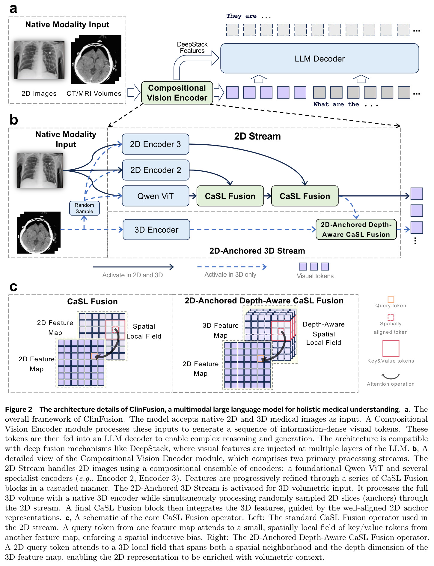 ClinFusion system architecture: compositional vision encoder, CaSL Fusion, and 2D-anchored native 3D understanding.