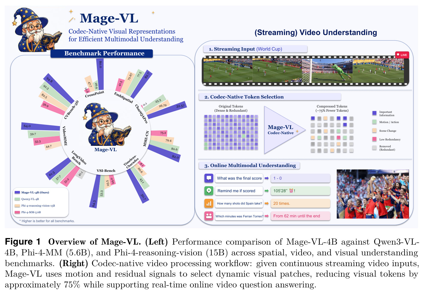 Overview of Mage-VL