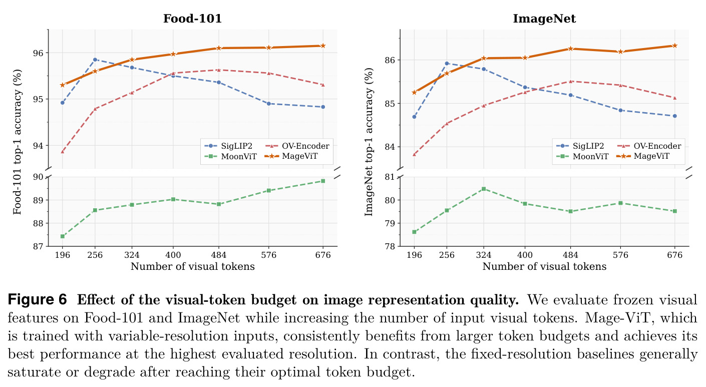 Effect of the visual-token budget on image representation quality