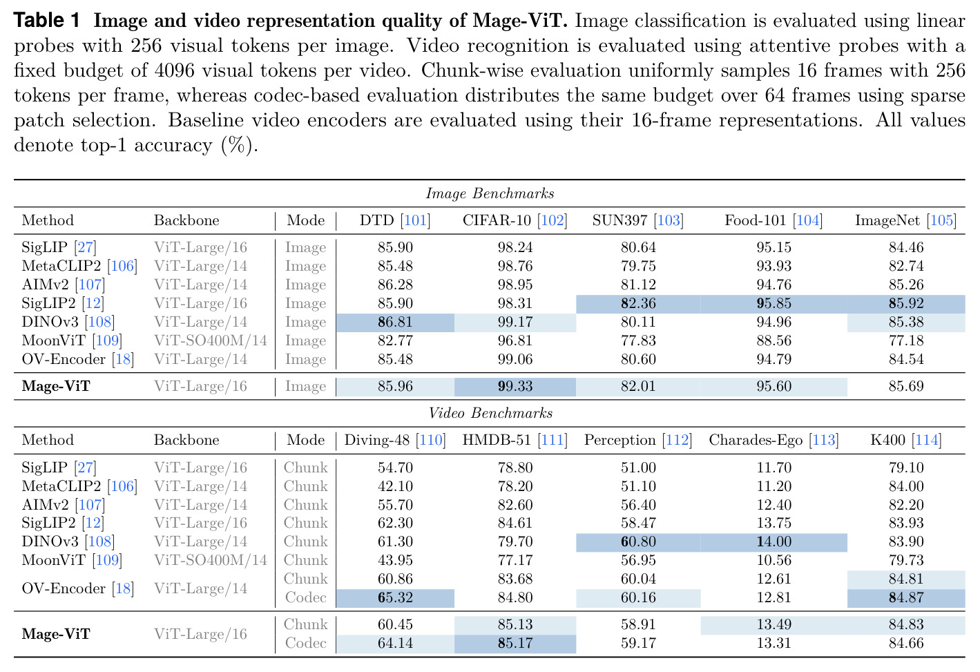Image and video representation quality of Mage-ViT