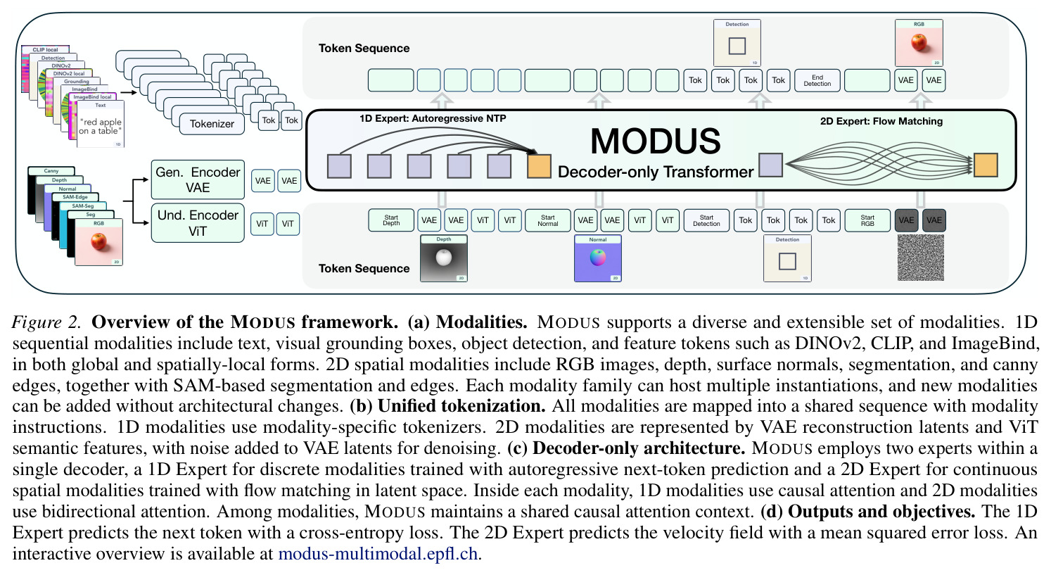 MODUS 框架总览：模态、统一 token 化、解码器架构、输出与目标