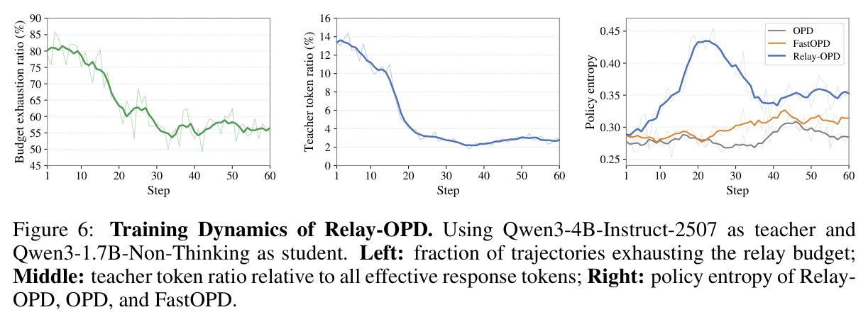 Relay-OPD 的训练动力学