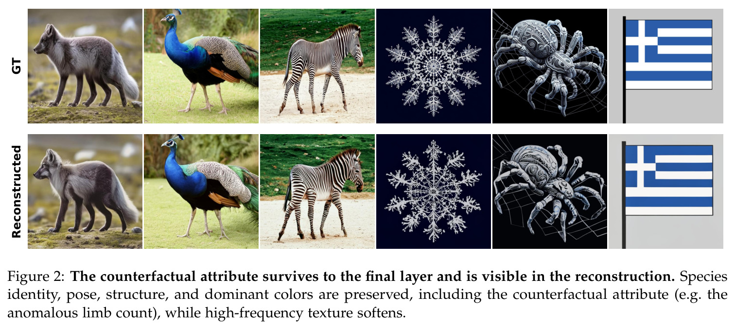 The counterfactual attribute survives to the final layer and is visible in the reconstruction.