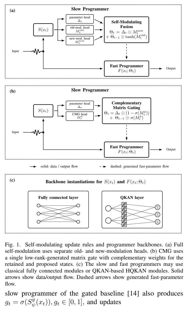 Self-modulating update rules and programmer backbones.