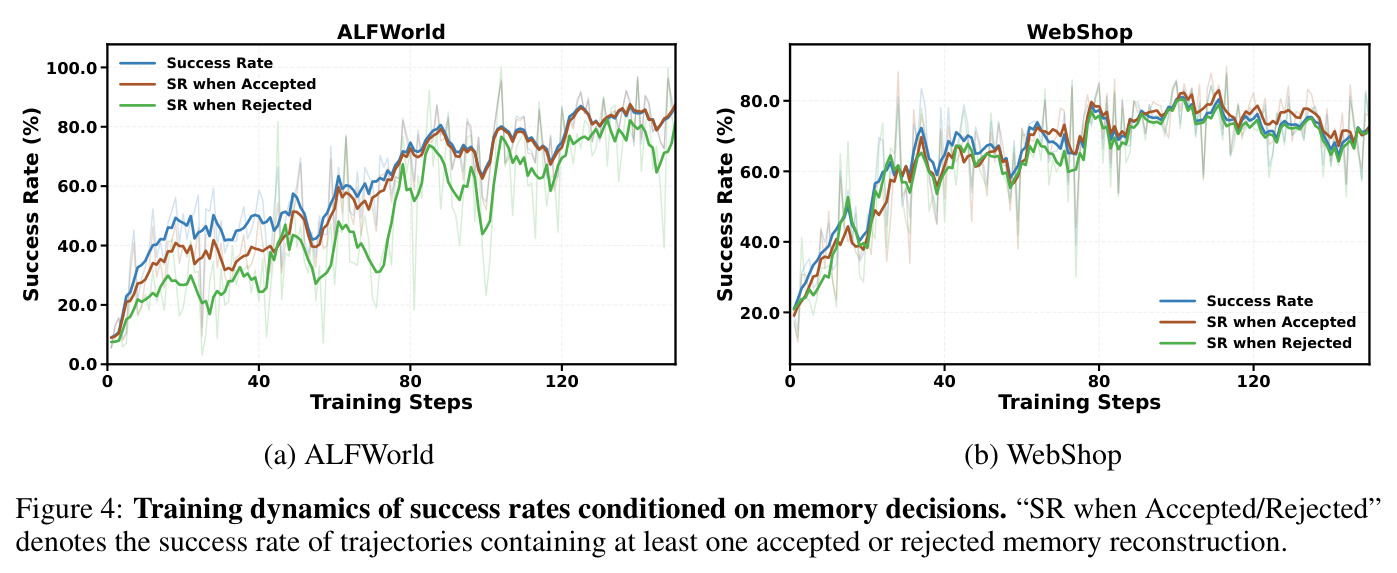 Training dynamics of success rates conditioned on memory decisions