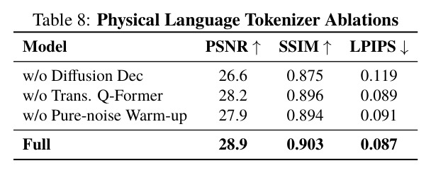 物理语言 Tokenizer 消融