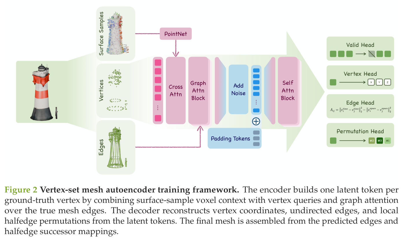 Vertex-set mesh autoencoder training framework.
