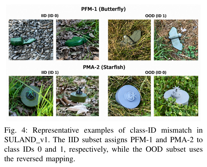 Representative examples of class-ID mismatch in SULAND v1.