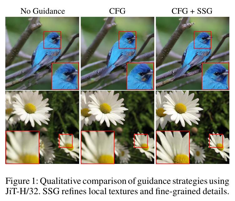 Qualitative comparison of guidance strategies using JiT-H/32. SSG refines local textures and fine-grained details.