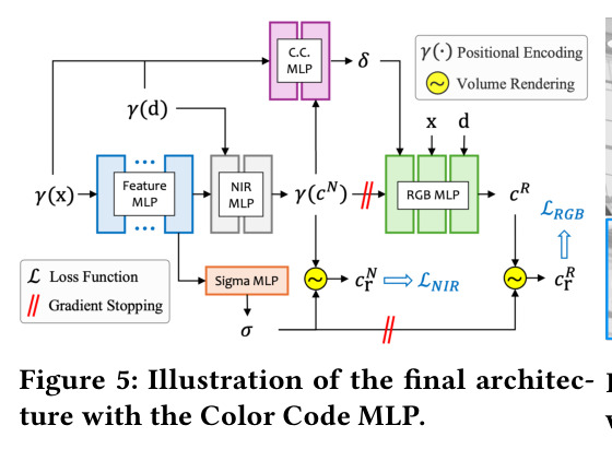 含 Color Code MLP 的最终架构示意。