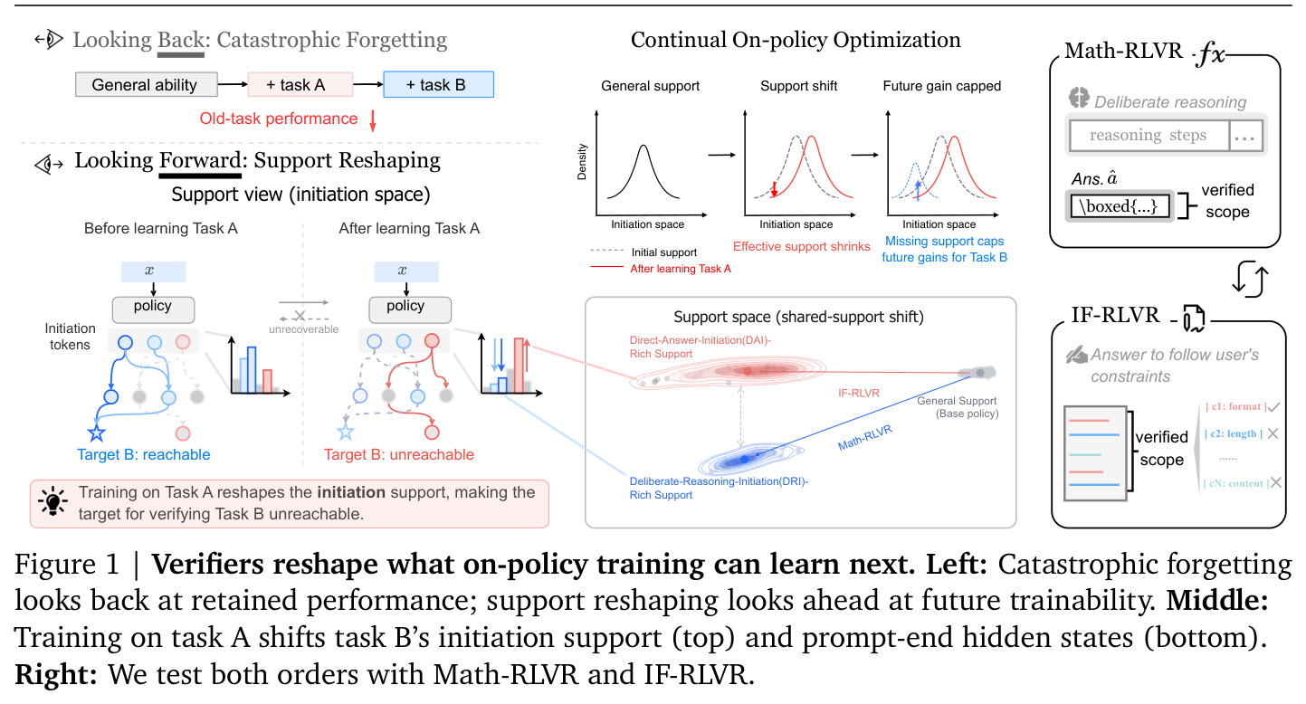 Verifiers reshape what on-policy training can learn next