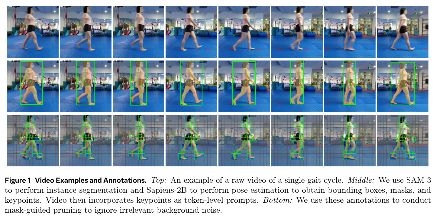 Video Examples and Annotations