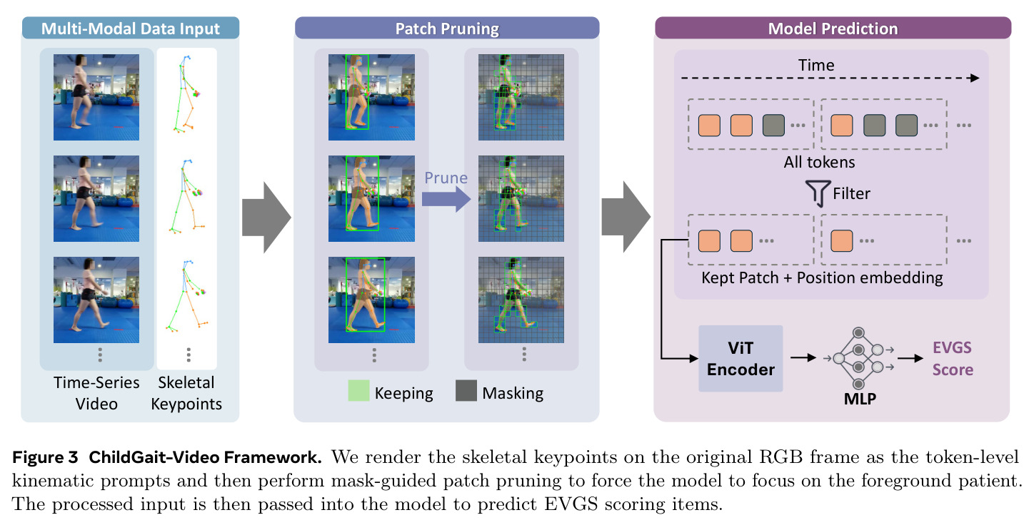 ChildGait-Video Framework