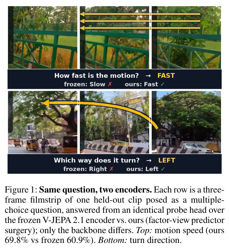 Same question, two encoders