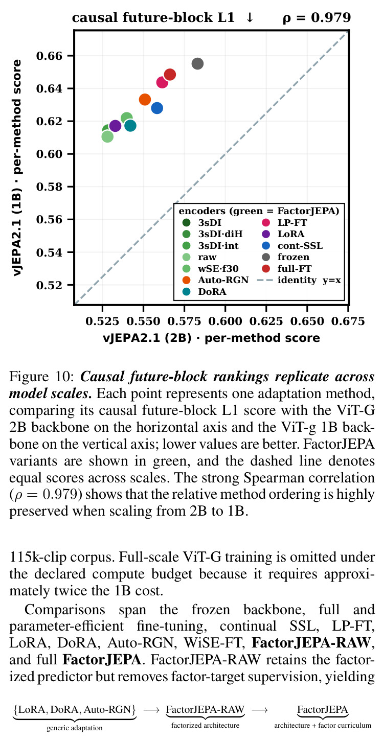 Causal future-block rankings replicate across model scales