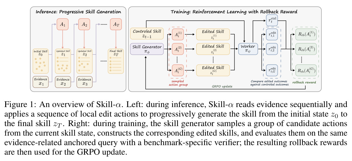 An overview of Skill-α.