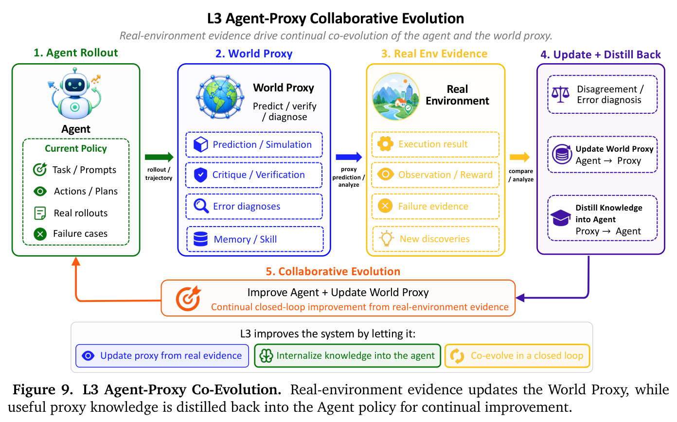 L3 Agent-Proxy Collaborative Evolution.