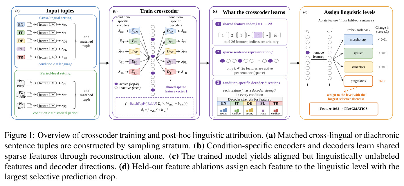 Overview of crosscoder training and post-hoc linguistic attribution.