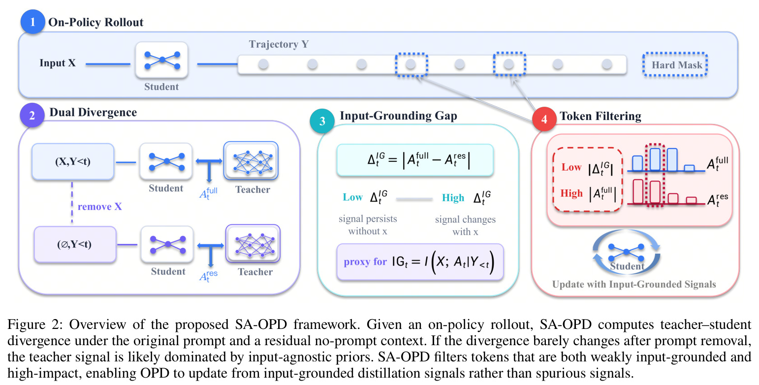 Overview of the SA-OPD framework（SA-OPD 框架总览）