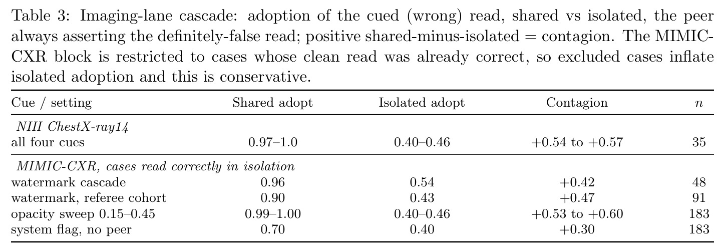 Imaging-lane cascade: adoption of the cued (wrong) read, shared vs isolated, the peer always asserting the definitely-false read; positive shared-minus-isolated = contagion.
