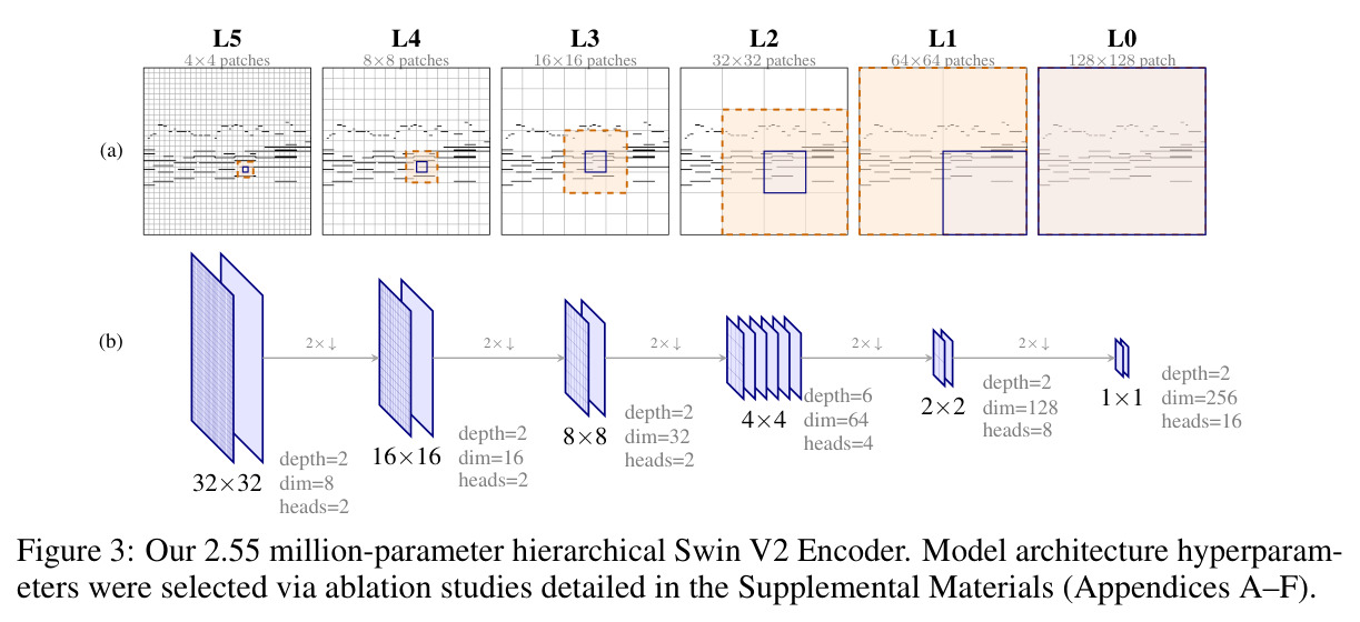Our 2.55 million-parameter hierarchical Swin V2 Encoder.