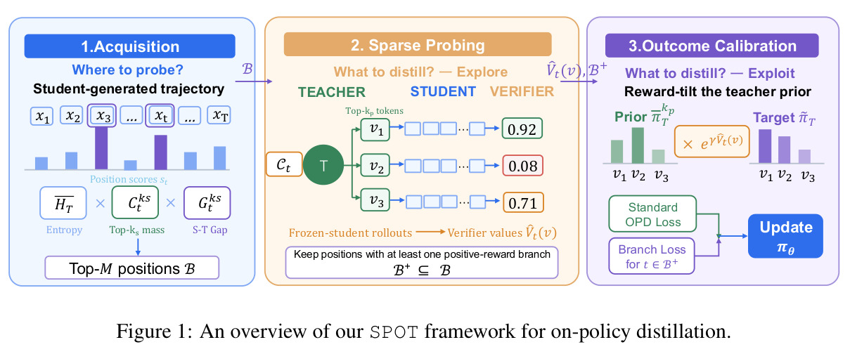 An overview of our SPOT framework for on-policy distillation.