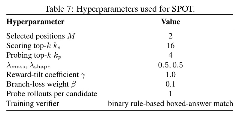 Hyperparameters used for SPOT.