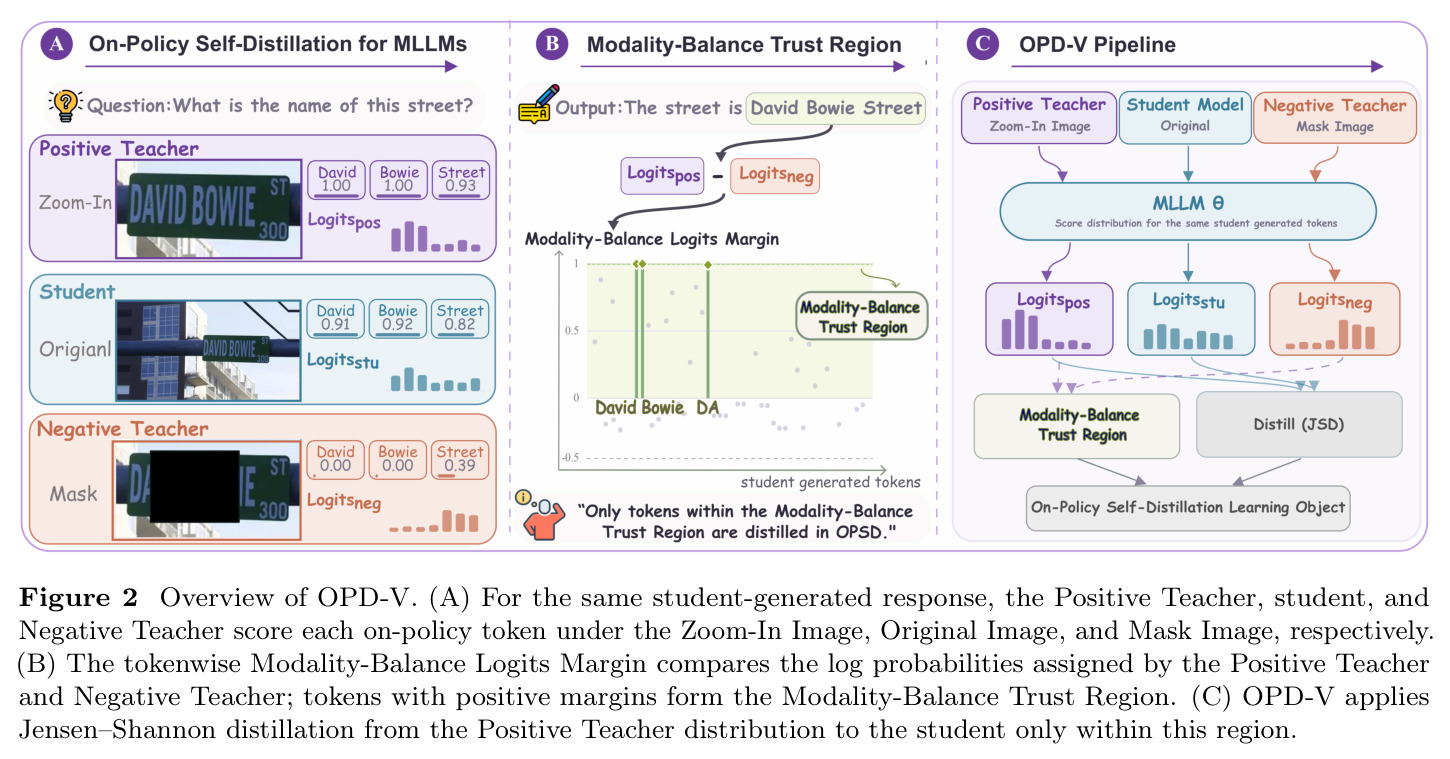 Overview of OPD-V（OPD-V 总览）