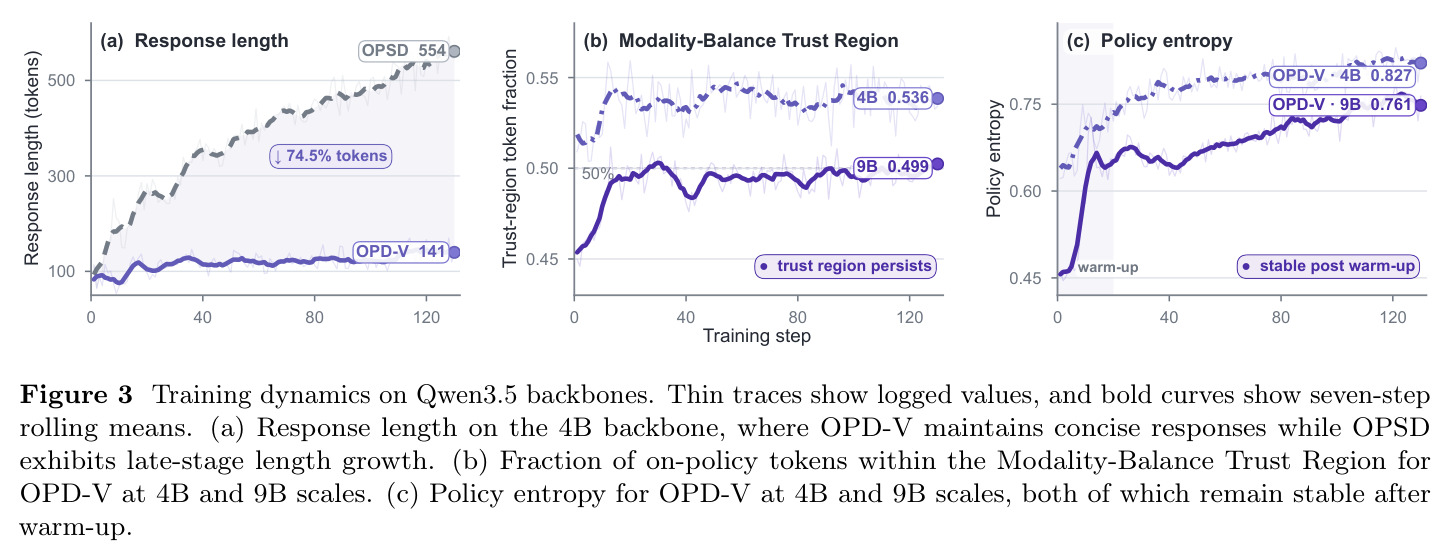 Training dynamics on Qwen3.5 backbones（Qwen3.5 骨干上的训练动态）