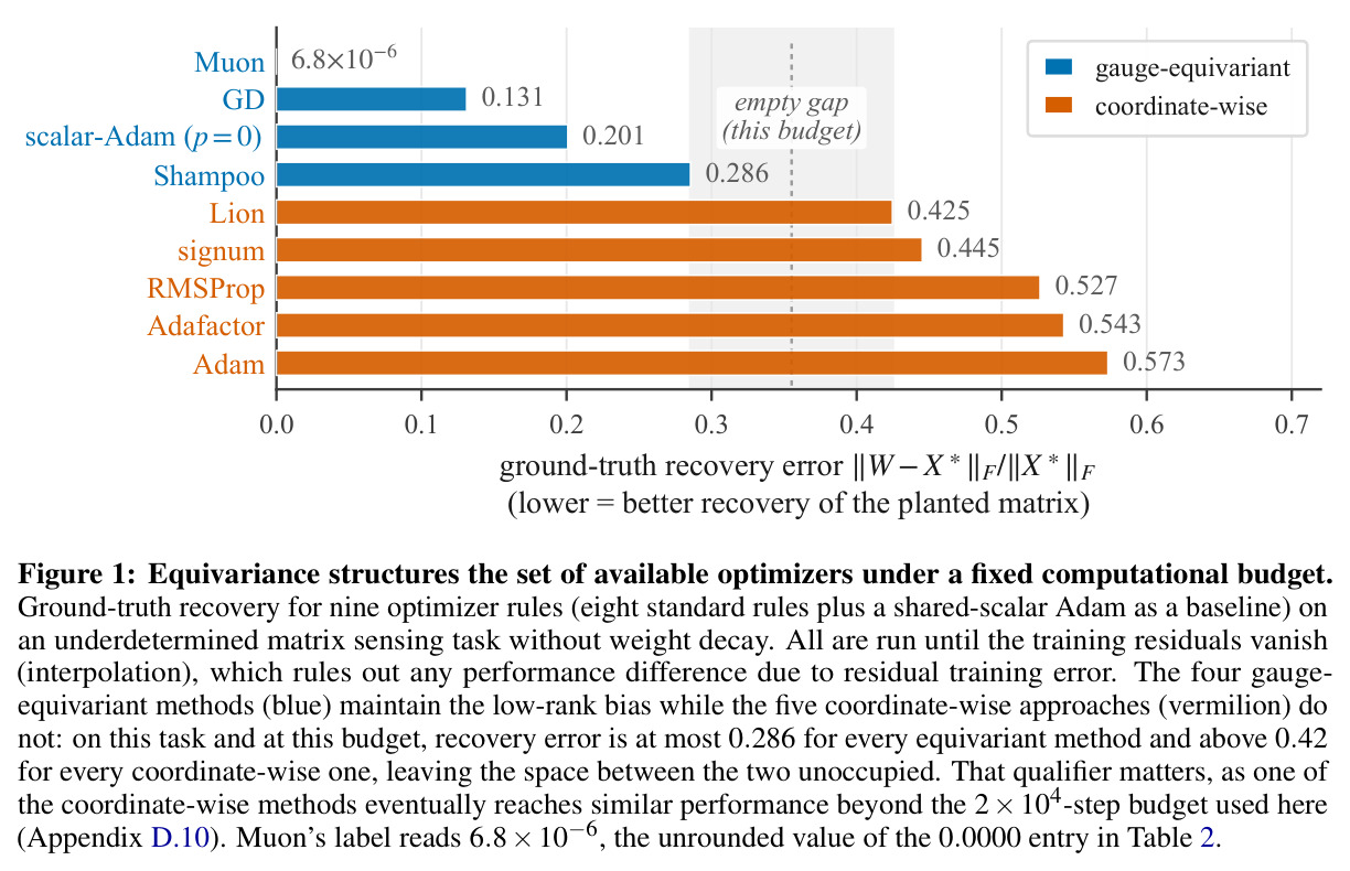 Equivariance structures the set of available optimizers under a fixed computational budget.
