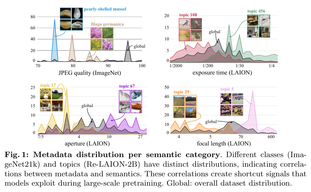 Metadata distribution per semantic category