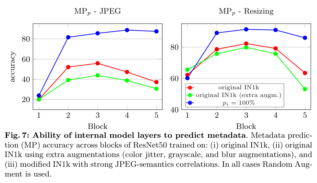 Ability of internal model layers to predict metadata