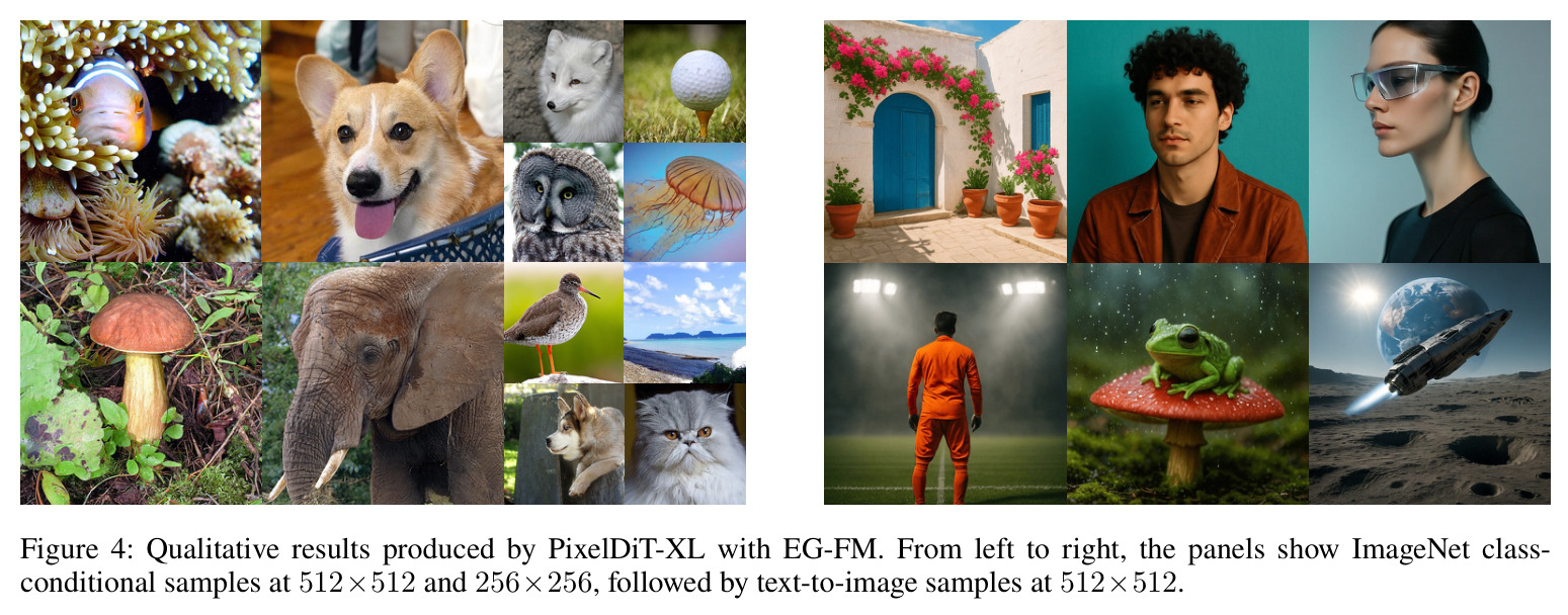 Qualitative results produced by PixelDiT-XL with EG-FM