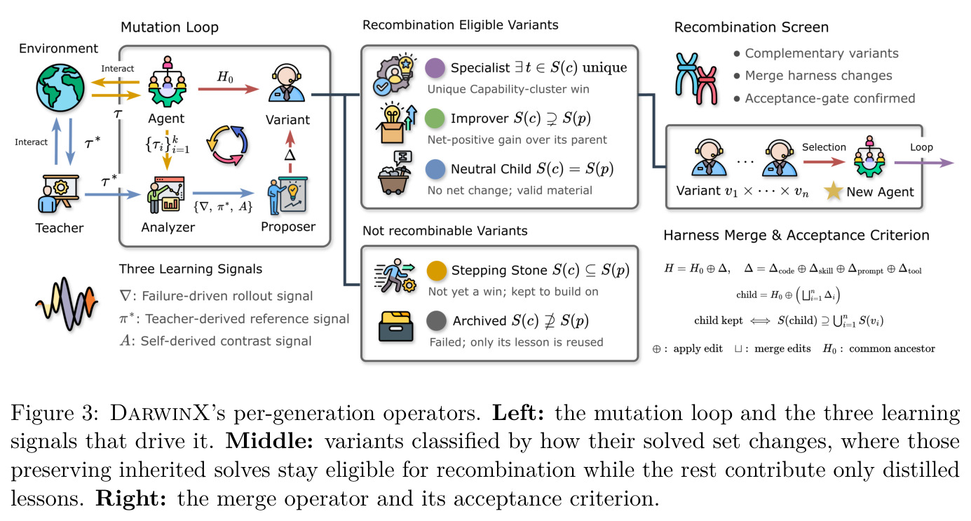DarwinX's per-generation operators.