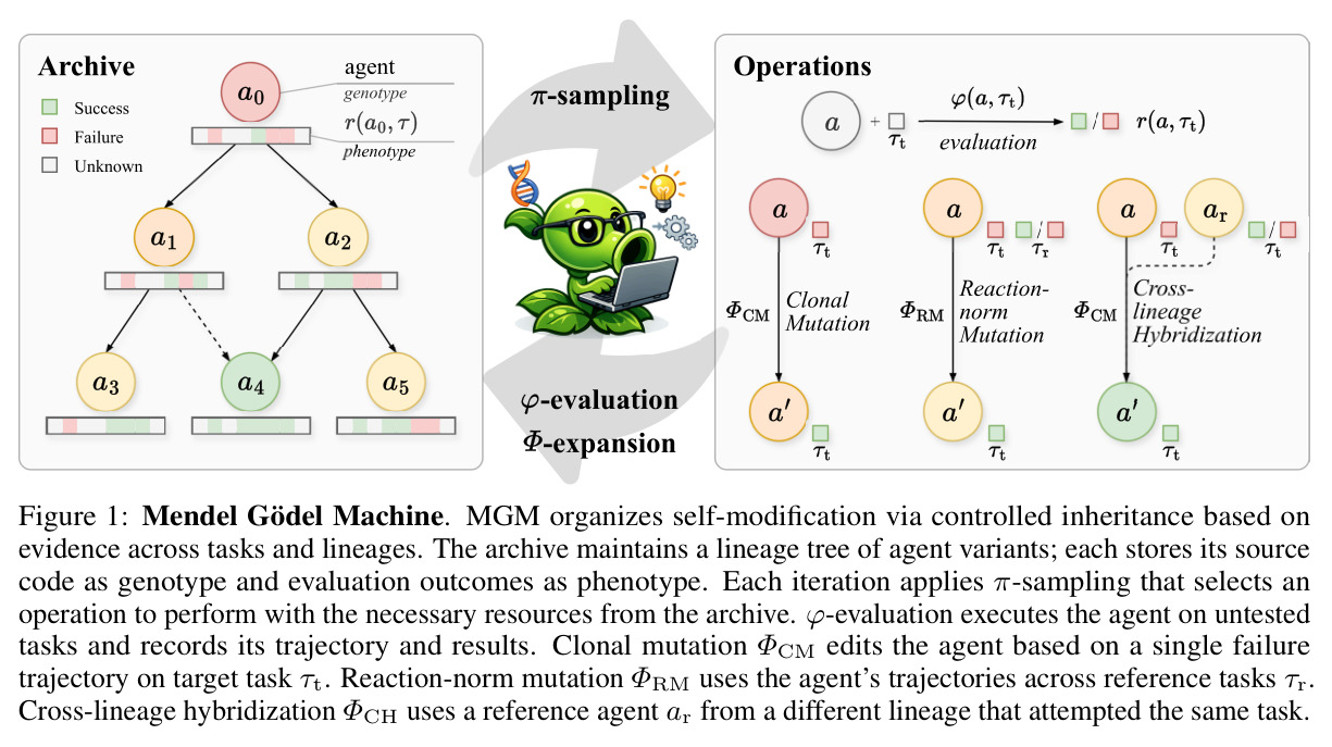 Mendel Gödel Machine. MGM organizes self-modification via controlled inheritance based on evidence across tasks and lineages.