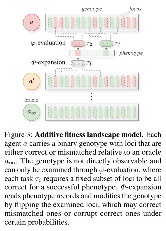 Additive fitness landscape model. Each agent a carries a binary genotype with loci that are either correct or mismatched relative to an oracle a∞.