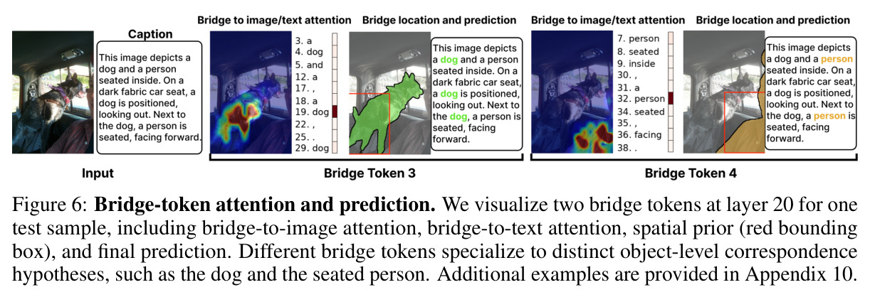 Bridge-token attention and prediction（桥接令牌的注意力与预测）