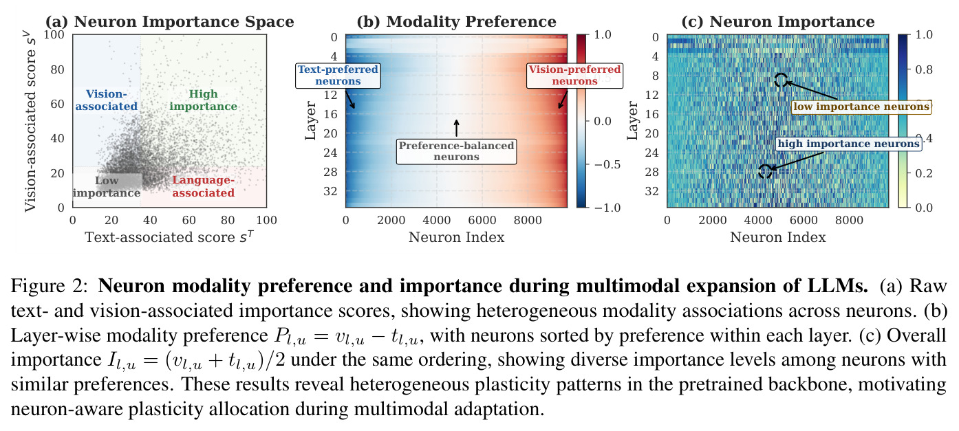 Neuron modality preference and importance during multimodal expansion of LLMs.