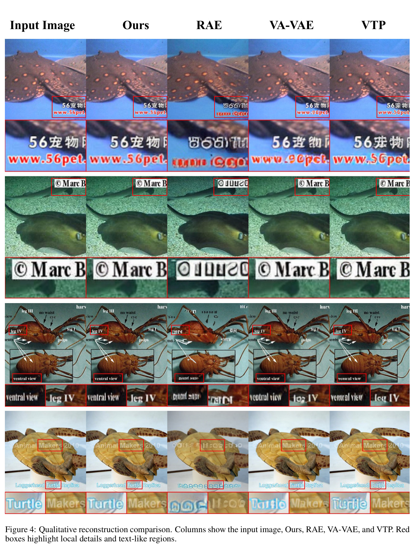 Qualitative reconstruction comparison.