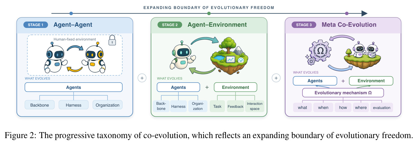 The progressive taxonomy of co-evolution, which reflects an expanding boundary of evolutionary freedom.