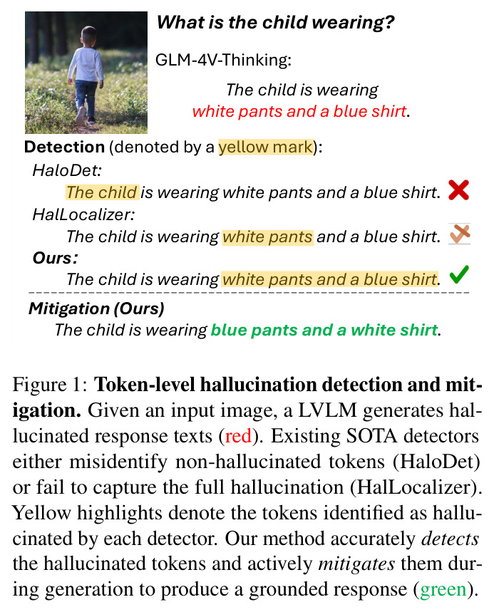 Token-level hallucination detection and mitigation. Given an input image, a LVLM generates hallucinated response texts (red). Existing SOTA detectors either misidentify non-hallucinated tokens (HaloDet) or fail to capture the full hallucination (HalLocalizer). Yellow highlights denote the tokens identified as hallucinated by each detector. Our method accurately detects the hallucinated tokens and actively mitigates them during generation to produce a grounded response (green).