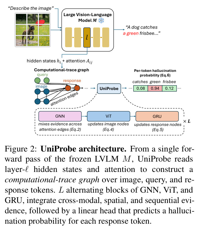 UniProbe architecture. From a single forward pass of the frozen LVLM M, UniProbe reads layer-ℓ hidden states and attention to construct a computational-trace graph over image, query, and response tokens. L alternating blocks of GNN, ViT, and GRU integrate cross-modal, spatial, and sequential evidence, followed by a linear head that predicts a hallucination probability for each response token.