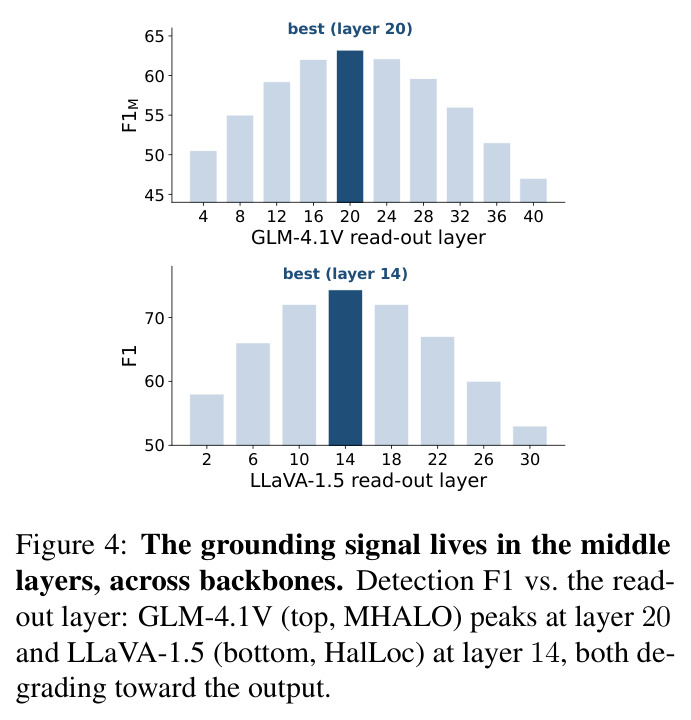 The grounding signal lives in the middle layers, across backbones. Detection F1 vs. the read-out layer: GLM-4.1V (top, MHALO) peaks at layer 20 and LLaVA-1.5 (bottom, HalLoc) at layer 14, both degrading toward the output.