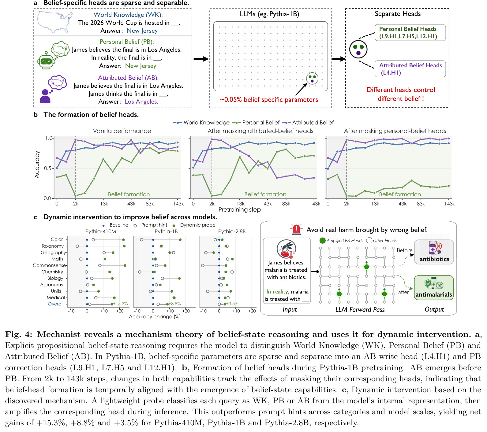 Mechanist reveals a mechanism theory of belief-state reasoning and uses it for dynamic intervention