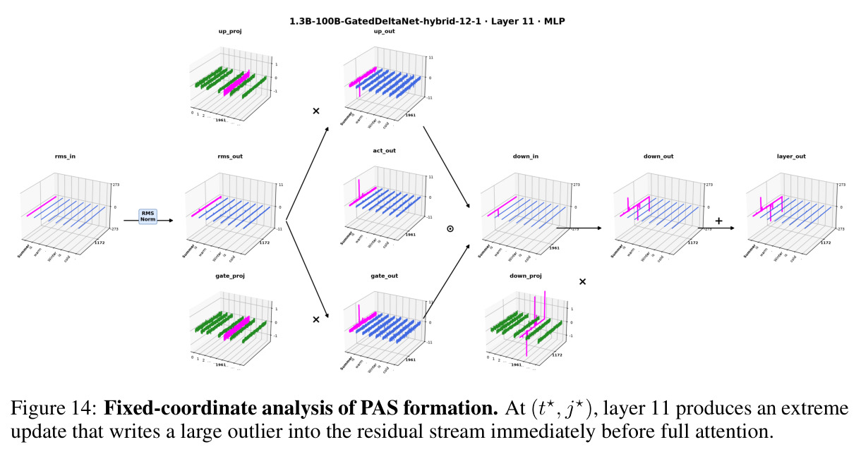 Fixed-coordinate analysis of PAS formation