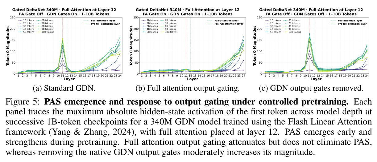 PAS emergence and response to output gating under controlled pretraining
