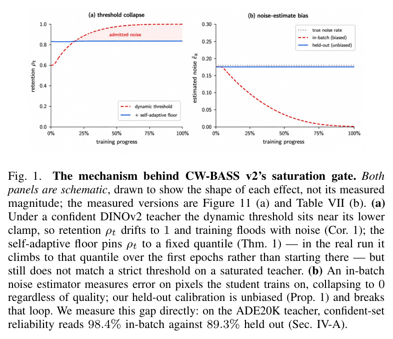 The mechanism behind CW-BASS v2's saturation gate. (a) Under a confident DINOv2 teacher the dynamic threshold sits near its lower clamp and retention drifts to 1; the self-adaptive floor pins retention to a fixed quantile. (b) An in-batch noise estimator measures error on pixels the student trains on, collapsing to 0 regardless of quality; held-out calibration is unbiased (Prop. 1).