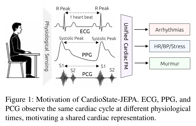 Motivation of CardioState-JEPA. ECG, PPG, and PCG observe the same cardiac cycle at different physiological times, motivating a shared cardiac representation.