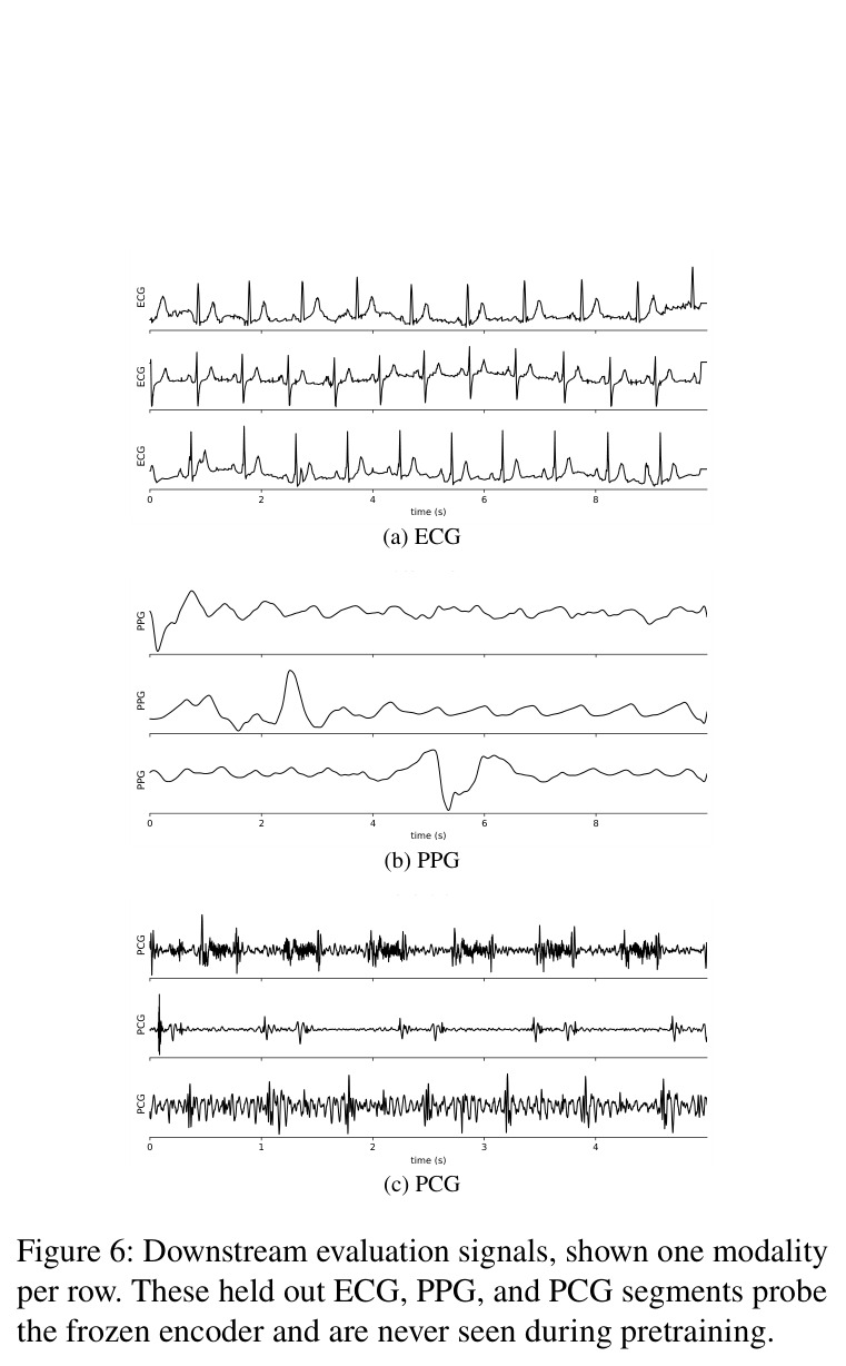 Downstream evaluation signals, shown one modality per row. These held out ECG, PPG, and PCG segments probe the frozen encoder and are never seen during pretraining.