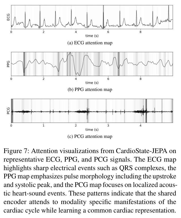 Attention visualizations from CardioState-JEPA on representative ECG, PPG, and PCG signals.